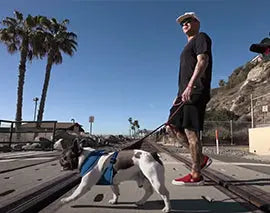 ETNIES DAY IN THE LIFE OF RYAN SHECKLER  | etnies Skateboarding Skate
