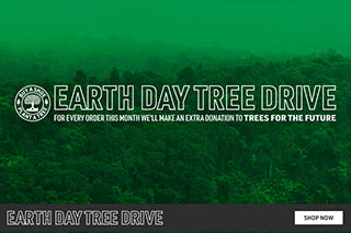 etnies annual Earth Day Tree drive