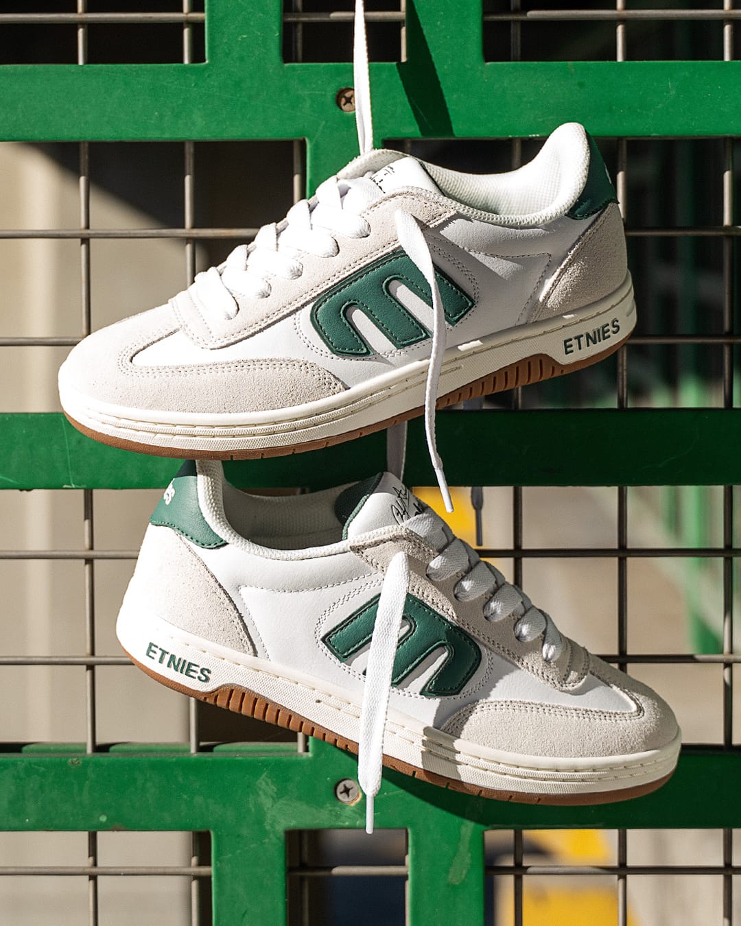 Locut X Andy Anderson etnies Skate Original Sustainability Gear