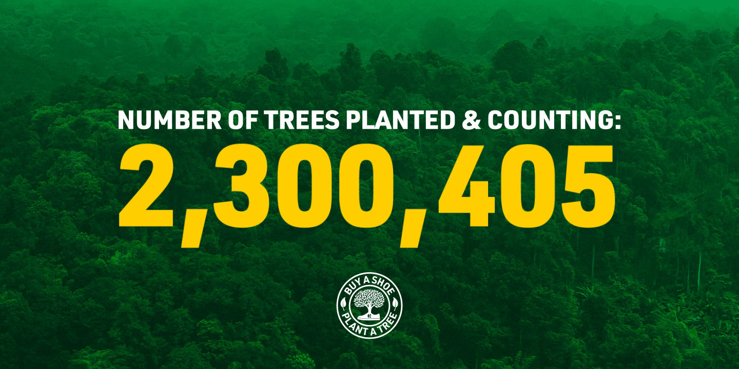 Etnies buy a 2025 shoe plant a tree