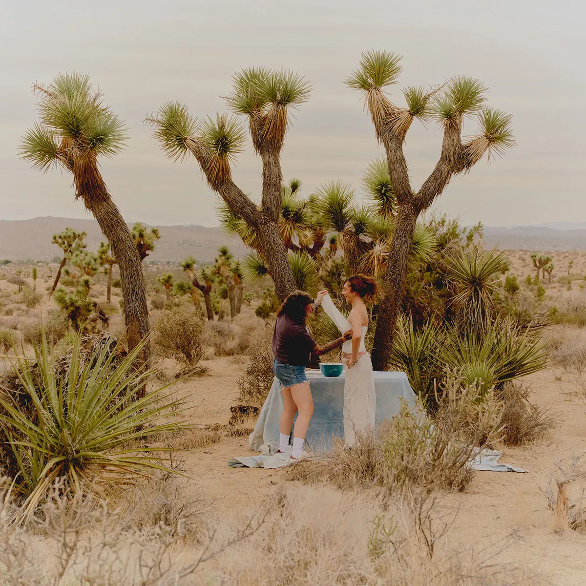 Locut X Keep A Breast - Pink Women Shoes | etnies Official Low-Top Shoe Etnies Skate Original Sustainability Gear