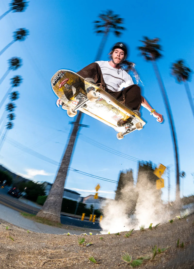 Collection - Skate Classic
