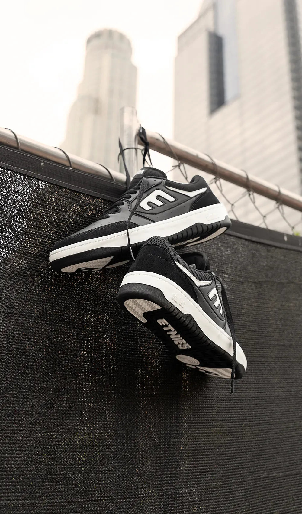 Explore Our New Arrivals