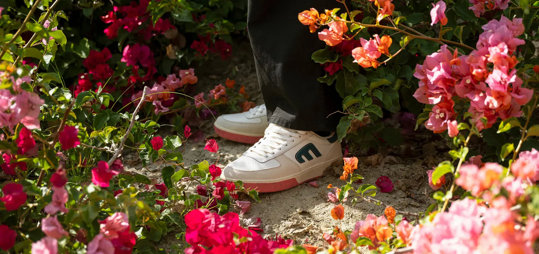 Explore New Arrivals